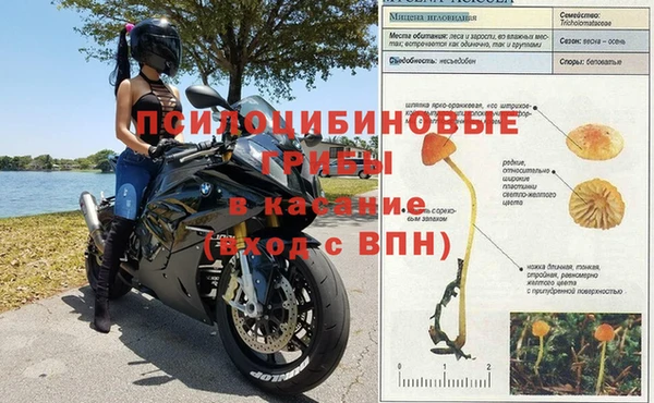 марки nbome Богородицк