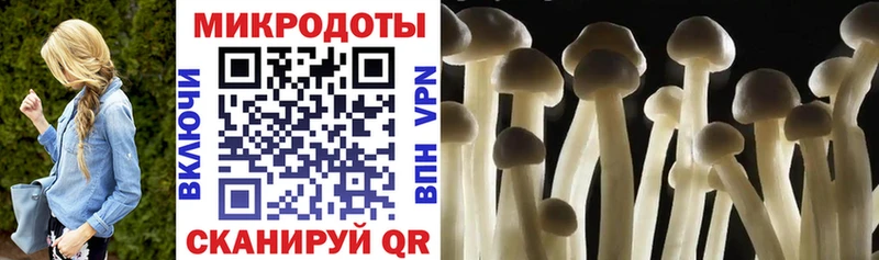 Купить  Биробиджан  Галлюциногенные грибы прущие грибы 